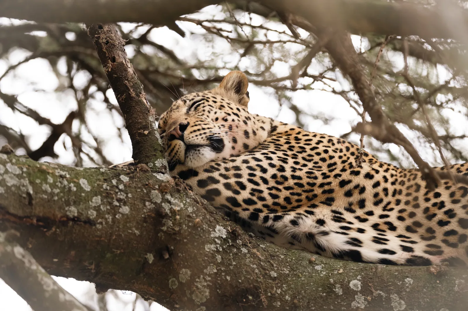 Quiet moments in the bush 🌿