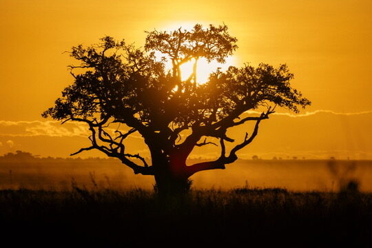 How to visit a tribe without turning it into a show