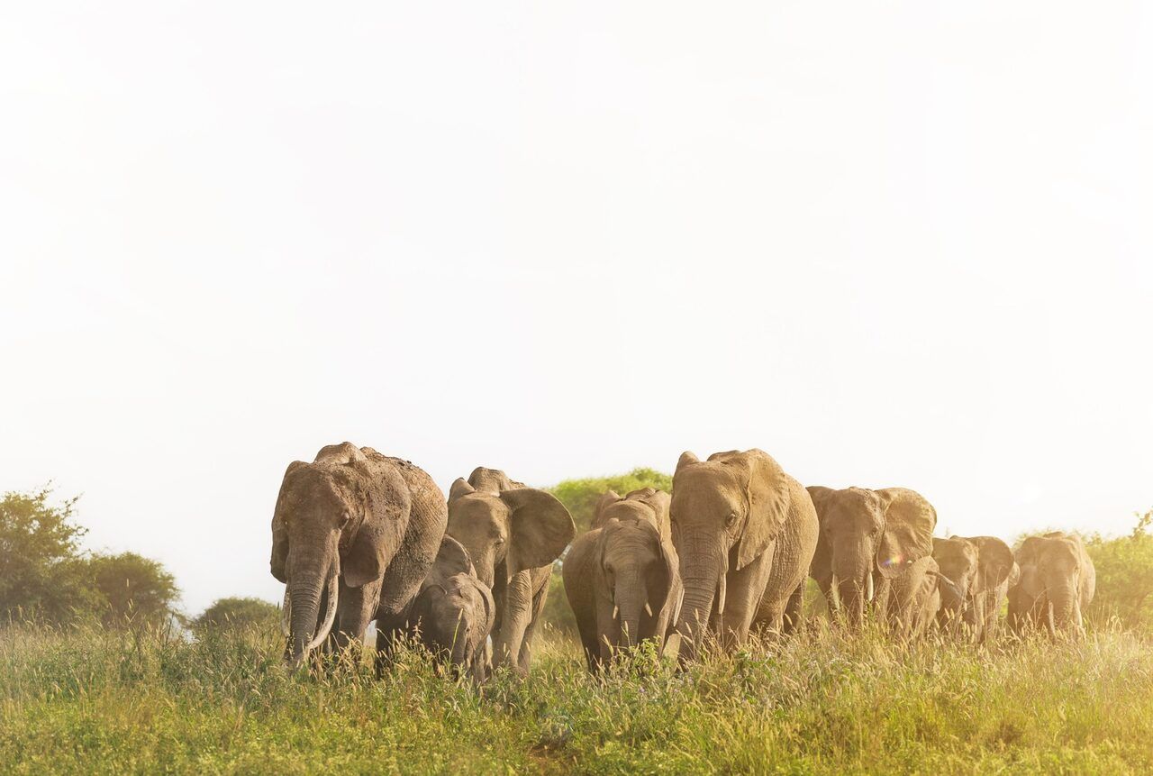 How to combine culture and safari in northern Tanzania