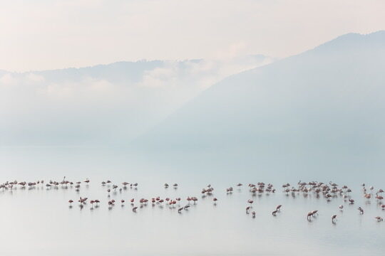 Lake Manyara National Park