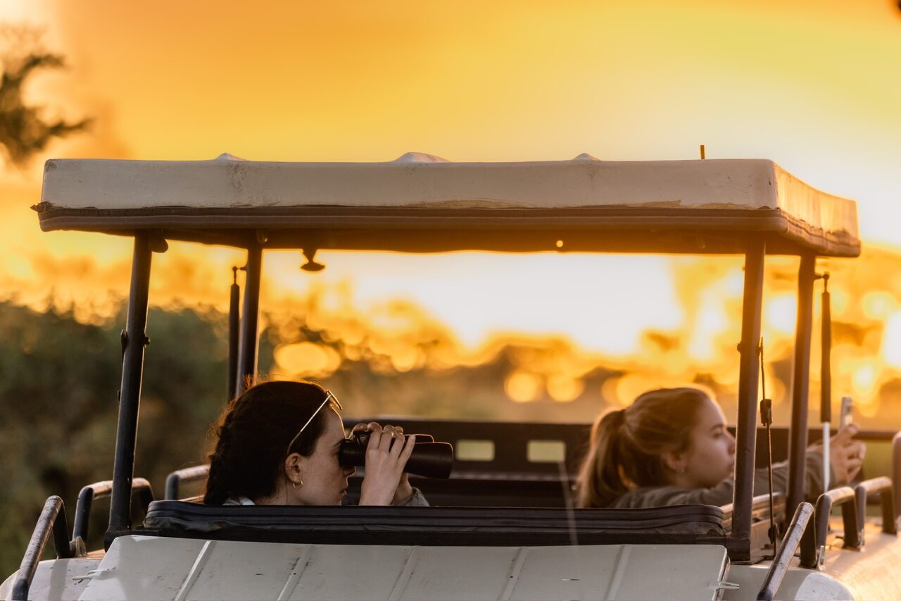 Two guests scanning with binoculars from a safari vehicle at golden sunset