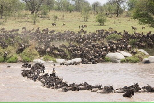 The Great Migration, month by month